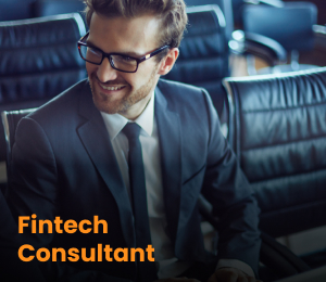 Fintech Consultant